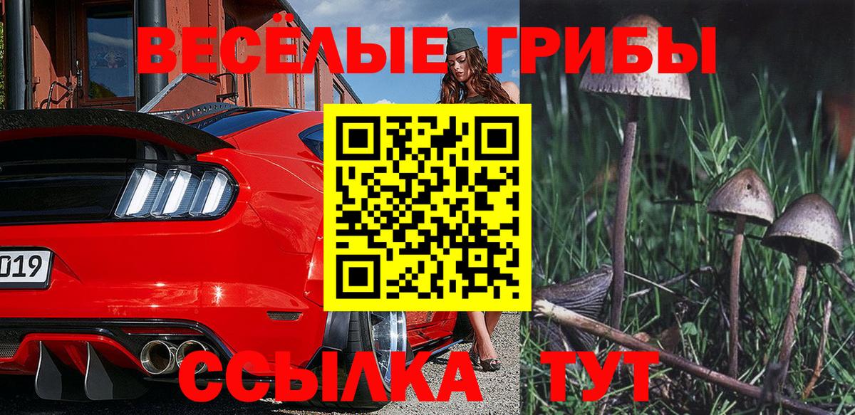 Галлюциногенные грибы мицелий  Назрань  Галлюциногенные грибы прущие грибы 