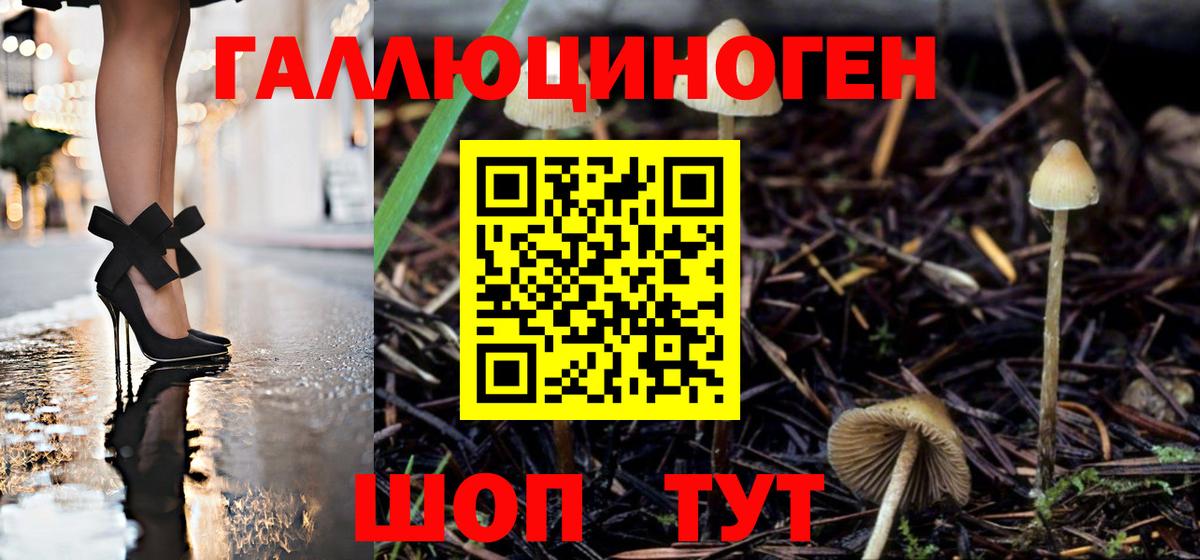 Псилоцибиновые грибы мухоморы Назрань